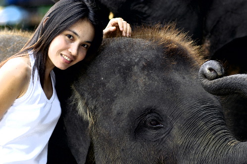Thai Lady and Baby Thailand Elephant